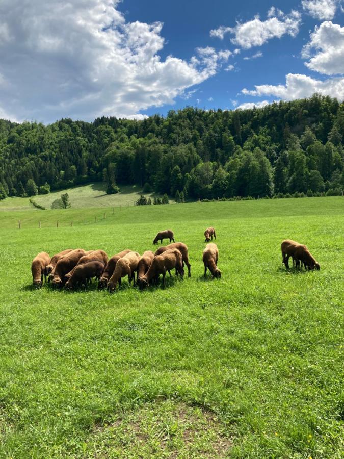 Haus Haslach Elsbethen Zewnętrze zdjęcie