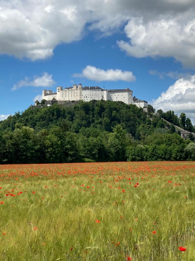 Haus Haslach Elsbethen Zewnętrze zdjęcie