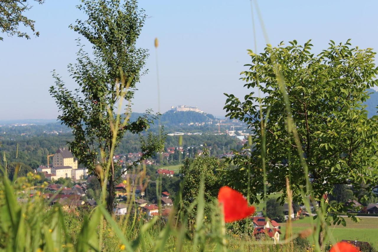 Haus Haslach Elsbethen Zewnętrze zdjęcie