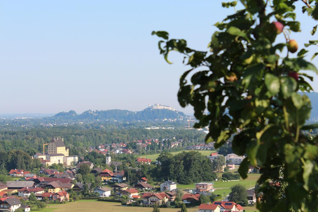 Haus Haslach Elsbethen Pokój zdjęcie